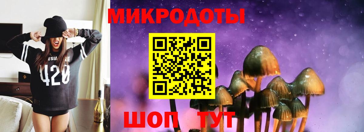 Мыски  Псилоцибиновые грибы мицелий  Вход с VPN  Галлюциногенные грибы MAGIC MUSHROOMS 